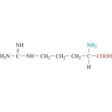 <p> provides + charge @ neutral pH, basic, additional amino group on side chain</p>