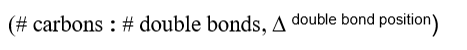 <ul><li><p>length </p></li></ul><ul><li><p>presence/absence of double bonds</p></li><li><p>location of double bonds </p></li></ul><p></p>