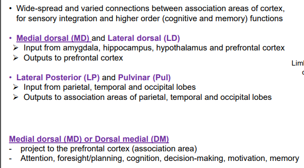 <p>MD = Mind (attention, planning, cognition)</p><p>Lateral Posterior + Pulvinar = Looking PTO</p><p>LD = Limbic diary</p>