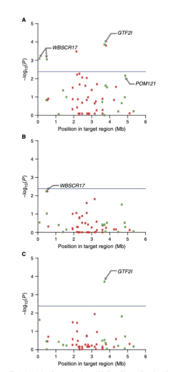 <p>Manhattan plots (green= genic regions, red= intergenic regions)</p><ul><li><p>blue line=significant cutoff line</p></li></ul><p>A: WBSCR17 and GTF2I significant SVs for ABS</p><p>B: No significant SVs for HYP</p><p>C: GTF2I significant SV for SIS</p><p></p>
