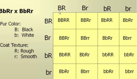 <p><span style="background-color: transparent;">What are the possible outcomes</span></p>