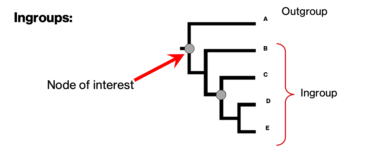 term image