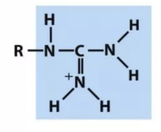 <p>Which functional group is this?</p>