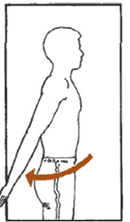 <p>Describe this motion </p>