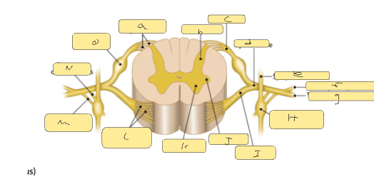 <p>c</p>