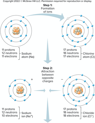<p>ionic bond </p>