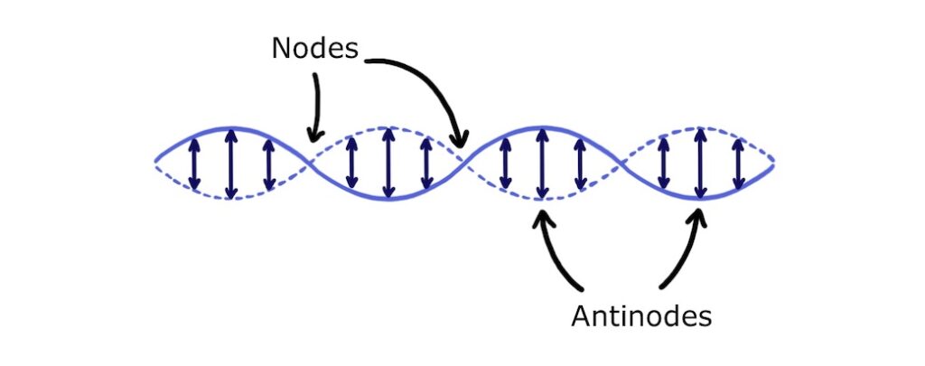 <p>what do the arrows in the middle mean? </p>