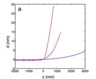 <p>Force curve data and the analysed force-indentation curve- a set of 3 representative force curve data acquired for 3T3 fibroblasts culture on glass, 17kPa polyacrylamide gel (purple), and 3kPa polyacrylamide gel (blue)</p>