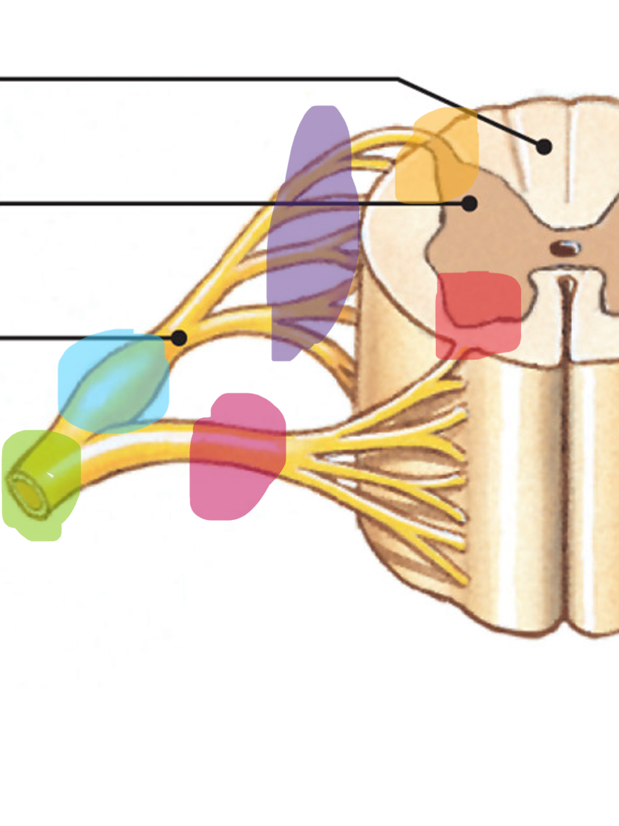 <p>What is the Orange part</p>