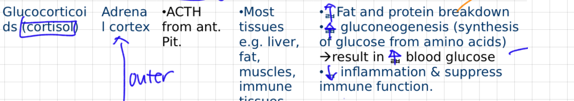 knowt flashcard image