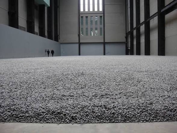 <p>Sunflower Seeds</p>