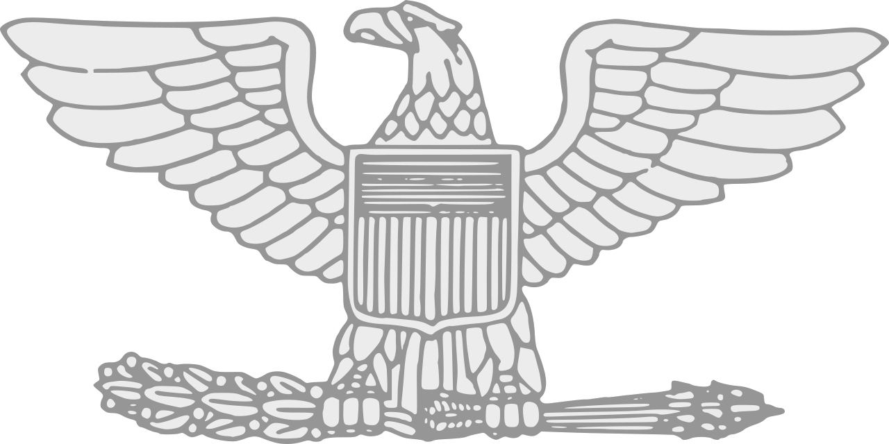 <p>Colonel (<mark data-color="green" style="background-color: green; color: inherit;">COL</mark>, <mark data-color="red" style="background-color: red; color: inherit;">Col</mark>, <mark data-color="yellow" style="background-color: yellow; color: inherit;">Col</mark>), 1 Silver Eagle</p><p>(Stylized version of the Great Seal of the U.S.)</p>