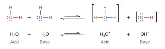 <p><strong>Practice: </strong>If Kw becomes 1 x 10<sup>-12</sup> at a higher temperature, what is the pH of pure water at this temperature?</p>