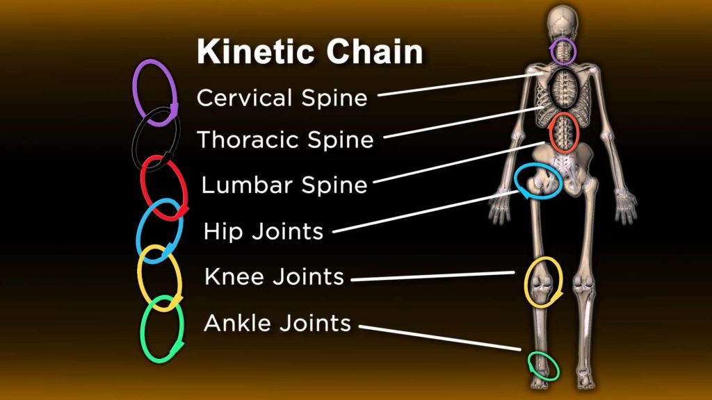 <p>The interconnected system of joints and body segments that work together during movement.</p>