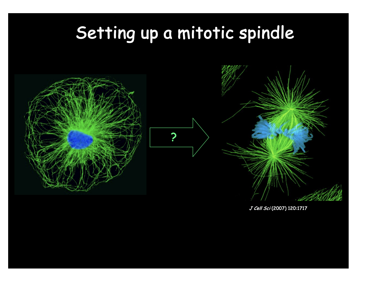 <p>Focus of this lecture</p>