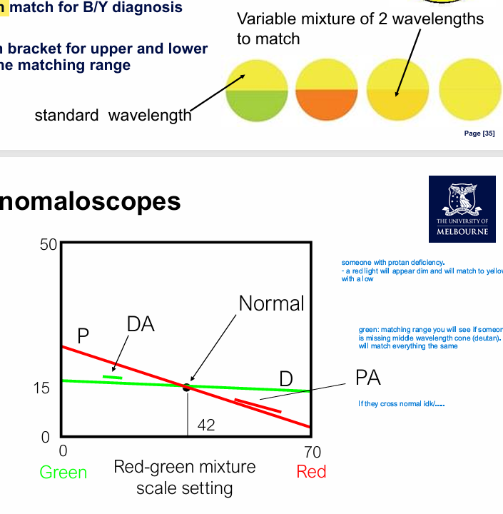 <p>Anomaloscopy - <strong>colour matching</strong> <strong>test </strong>by additive colour mixing w/ spectral colours. </p><p></p><p>Equations:</p><ul><li><p><strong>Rayleigh equation match</strong> = red-green diagnosis</p><ul><li><p>red/green mixture until it appears yellow </p></li><li><p>abnormal mixture of green/red: more green = DA, more red = PA </p></li></ul></li><li><p><strong>Moreland equation match</strong> = blue-yellow diagnosis</p></li></ul><p>Process:</p><ul><li><p>rough match</p></li><li><p>bracket upper/lower limits</p></li><li><p>plot matching range</p></li></ul><p></p>