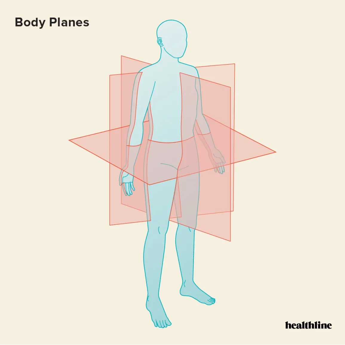 <p>Provides orientation for the body’s position and motion; Movement occurs parallel or within a plane</p>