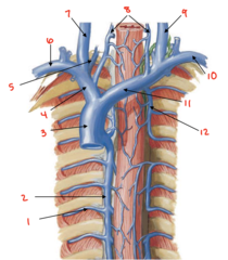 <p>What is labeled 5?</p>