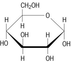 <p>carbohydrates are made up of ______________.</p>