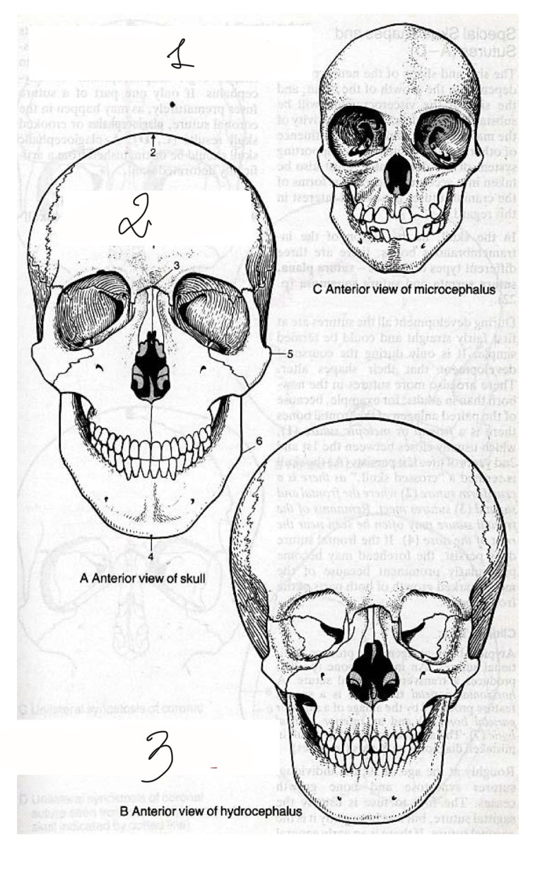 <p>1</p>