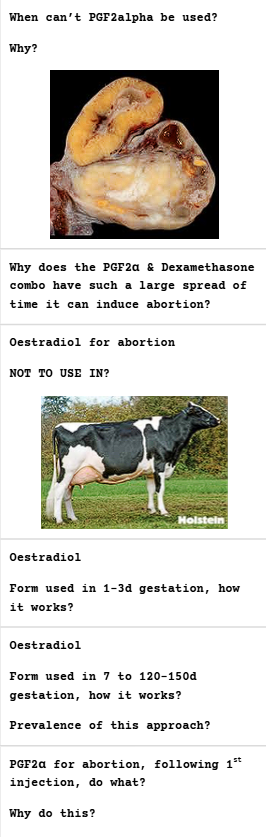 <p>Inducing Abortion in Catlle</p>