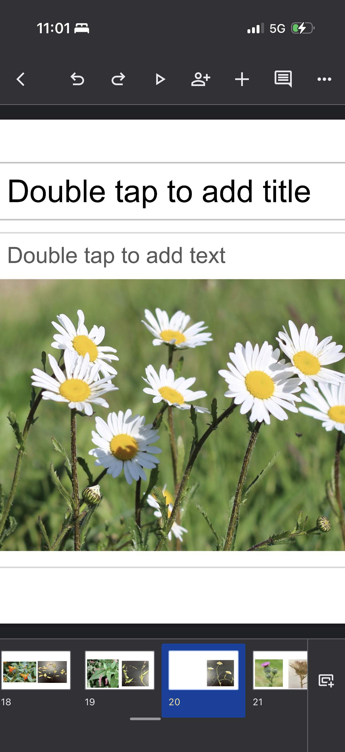 knowt flashcard image