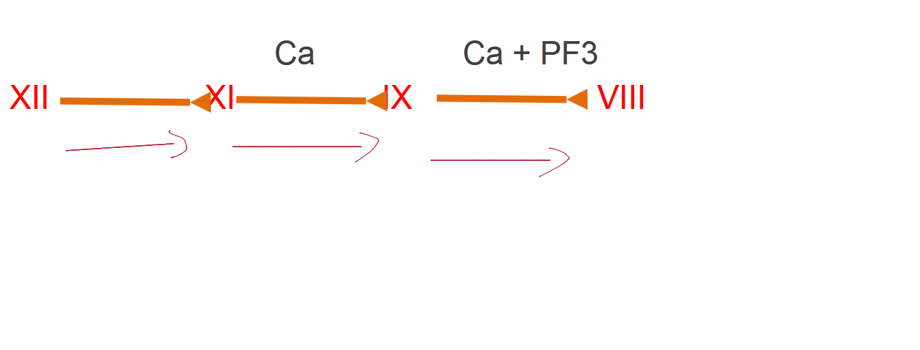 <p>Involves factors</p><ul><li><p>XII, (7)</p></li><li><p>XI, (6)</p></li><li><p>IX, (4)</p></li><li><p>VIII, (8)</p></li><li><p>[X, V, II, and I] (10. 5, 2, 1); (the common pathway)</p></li></ul><p></p><ul><li><p>Each activated factor activates the next in the series</p></li><li><p>Initiated by contact with surface of blood vessel lining</p></li><li><p>actor XII is activated; each activated factor activates the next in the series</p><ul><li><p>XII→(need fletcher) XI→(need Ca++ to activate) IX→ (need Ca++ and PF3 to activate) VIII</p><ul><li><p>PF3: platelet factor</p></li></ul></li></ul></li></ul><p></p>