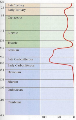 <p>The [Carboniferous]</p>