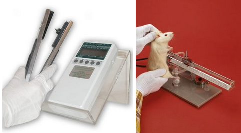 <p>rat paw pressure AKA Randall Selitto Test </p>