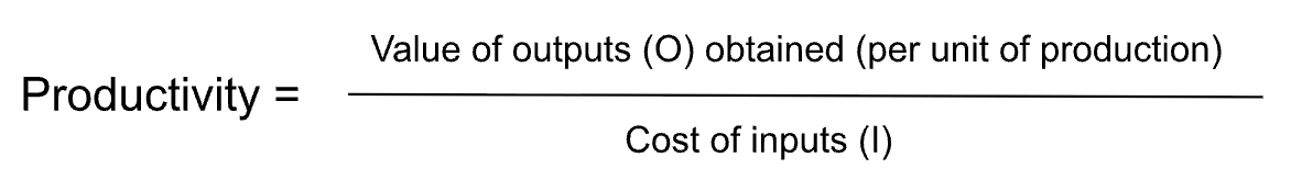 <p>the ratio of outputs produced compared to the inputs produced (e.g. units of production produced per employee)</p>