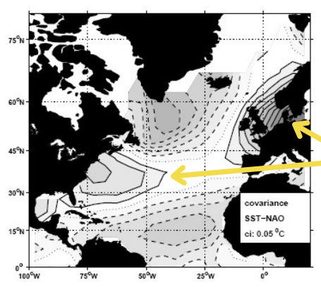 <ul><li><p>Covariance between NAO index and SST anomaly</p></li><li><p>When NAO index highly +ve (positive), SST anomaly also highly +ve (warmer than usual) and vice versa</p></li><li><p>Photo: Solid contours indicate positive covariance, dashed = negative covariance</p></li><li><p>SST = Sea Surface Temperature</p></li><li><p>Covarience = linked and changes in a predictable way</p></li><li><p>Positive covariance = As one increases, so does the other, as NAO index increases, so does SST and vice versa </p></li><li><p>Negative covariance = Where oscillation index is positive, temp anomaly is negative, colder than usual. When NAO index is negative SST change is positive </p></li><li><p>Shows that at the same point in time the same NAO can lead to different effects on sea surface temperature at different parts of the Atlantic </p></li></ul><p></p>