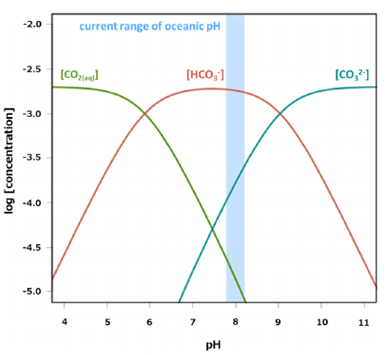 <p><span>Bjerrum plot: concentrations of carbonate species under a range of pH values</span></p>