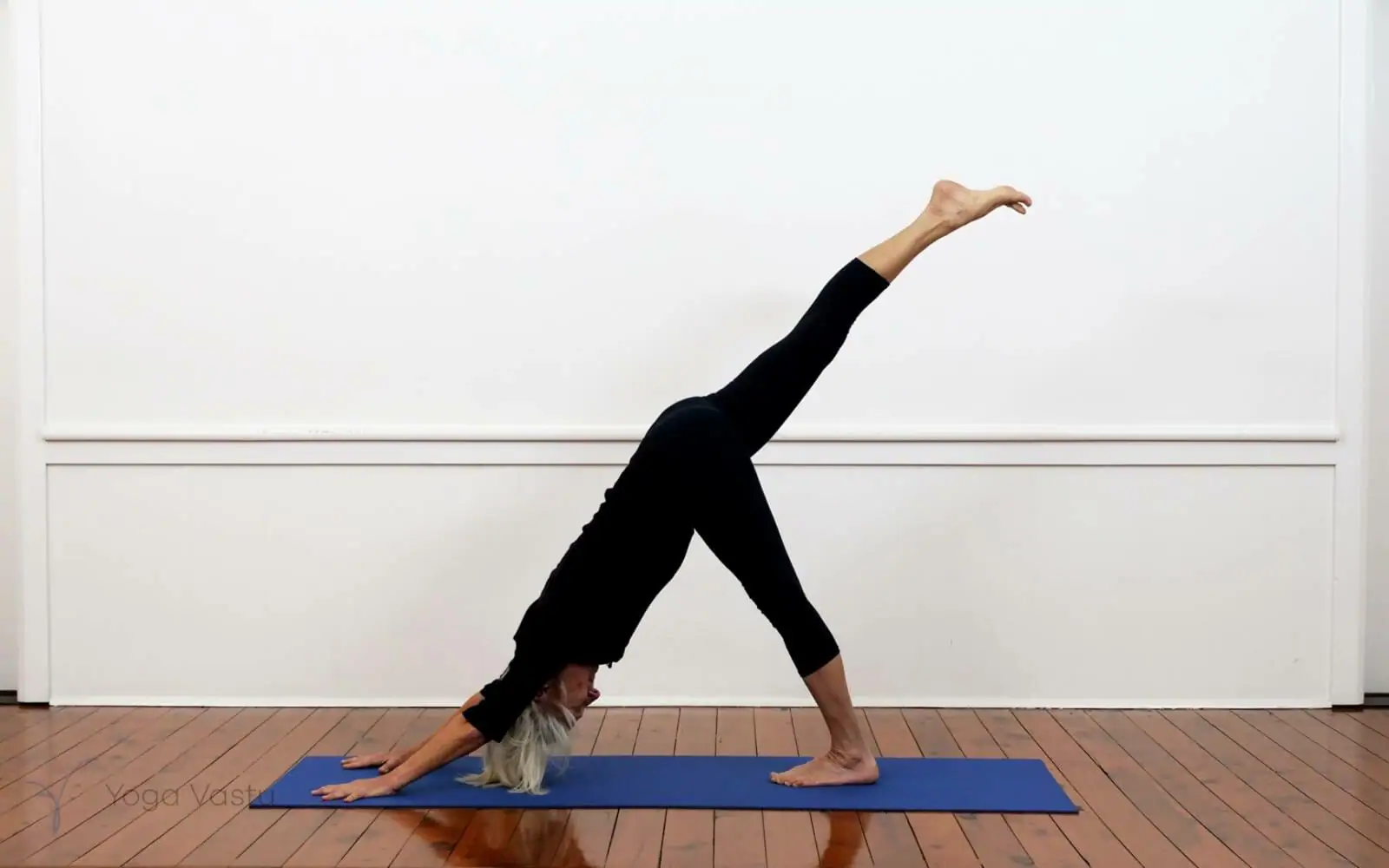 <p><span>Three Legged Dog / Down Dog Split</span></p>