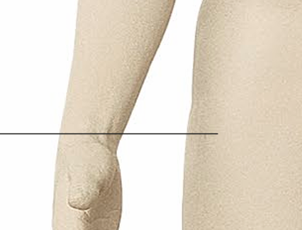 <p><span><strong>hanche</strong></span></p>