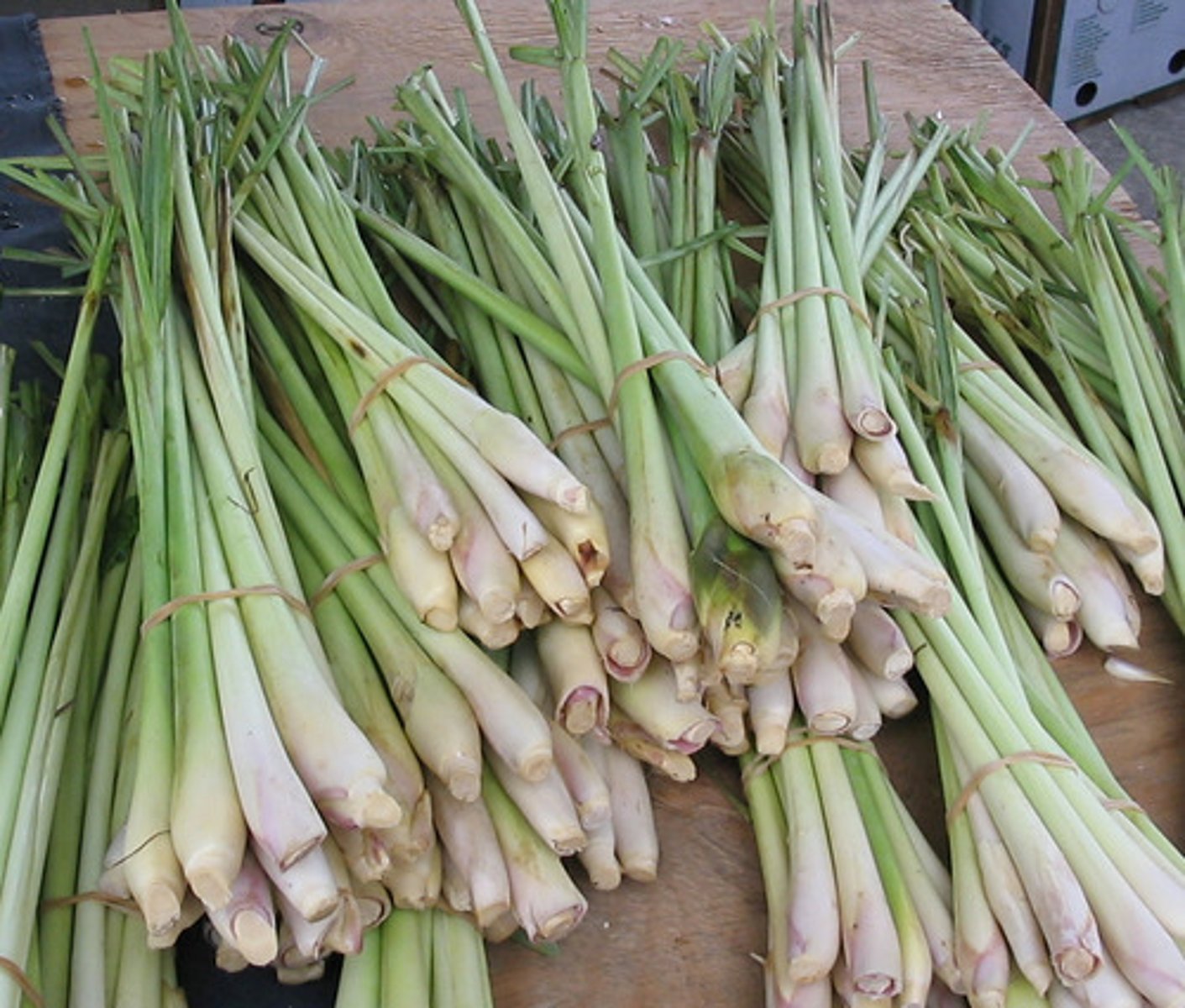 <p>la citronnelle</p>