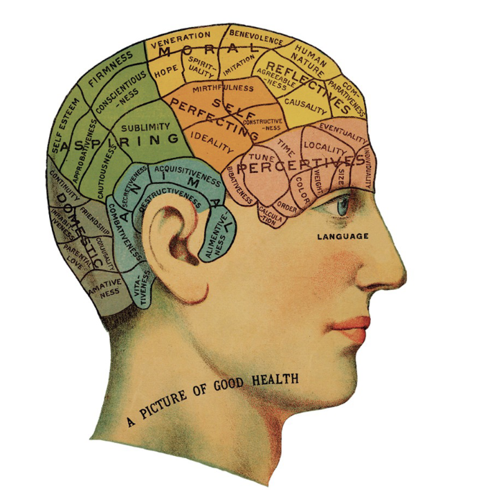 <ul><li><p>the phrenologists were a group of individuals interested in mapping out areas of the brain</p></li><li><p>they proposed that we had unique parts of the brain that mediated specific areas of behavior</p></li><li><p>believed they could map out brain activity by feeling peoples skulls </p></li><li><p>Were not taken very seriously because they performed clinical practice using this model</p></li><li><p>led people to start thinking of the brain as something that has components </p></li></ul><p></p>