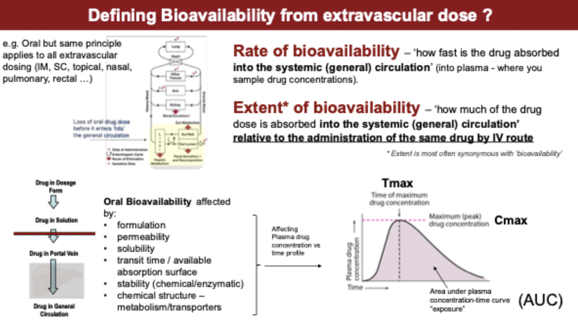 <p>difference between rate and extent of bioavailability</p>