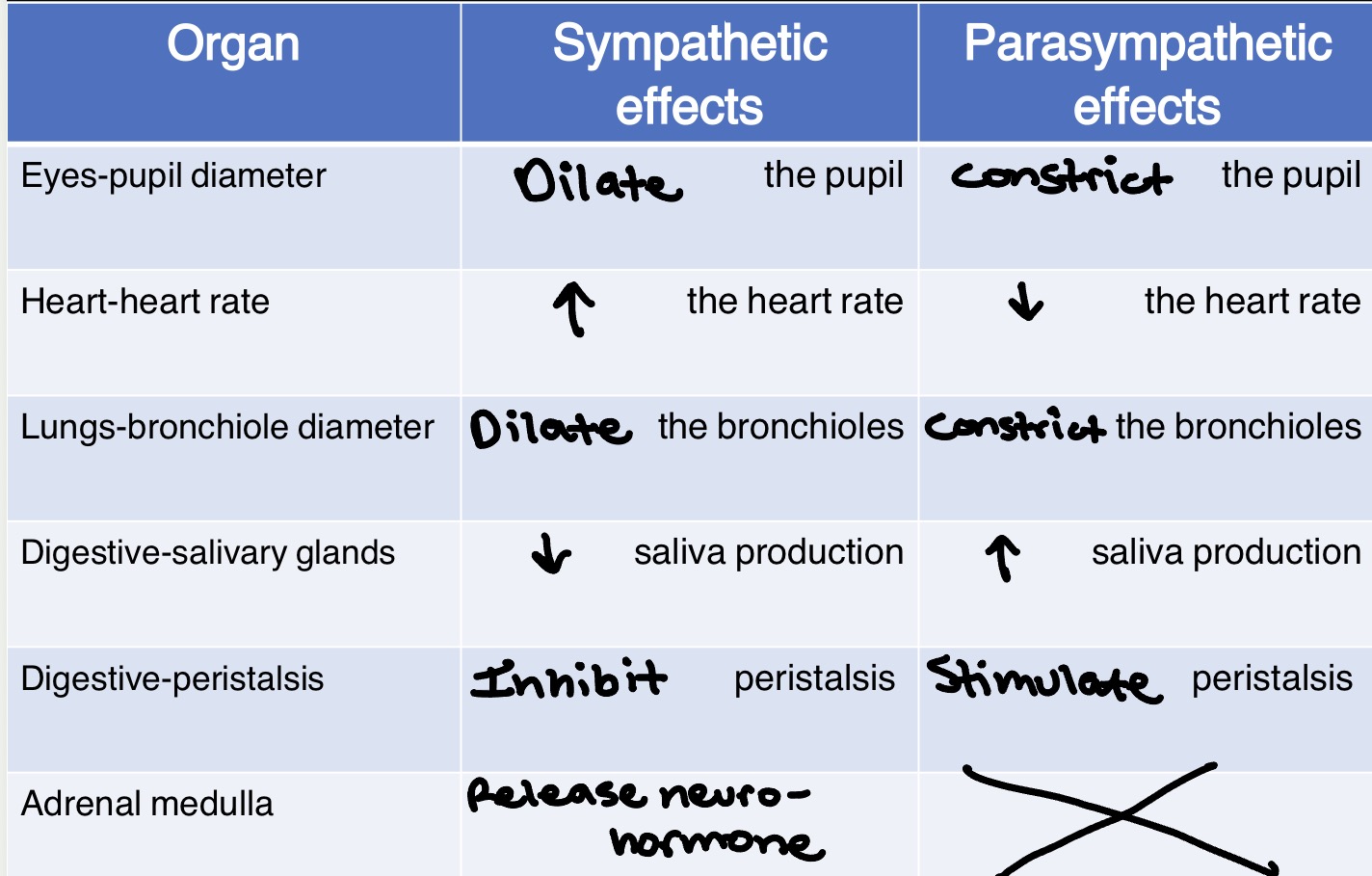 knowt flashcard image