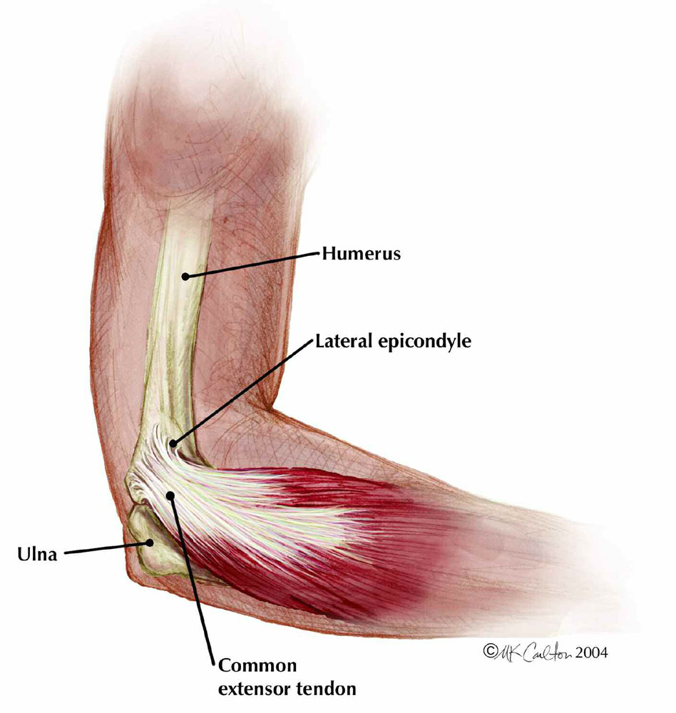 <p>Outside elbow bump (subtle)</p>