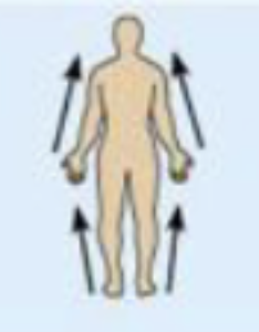 <p>closer to the origin of the body part or the point of attachment of a limb to the body trunk</p>