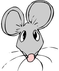 <p>shy and nervous and having few interesting qualities</p>