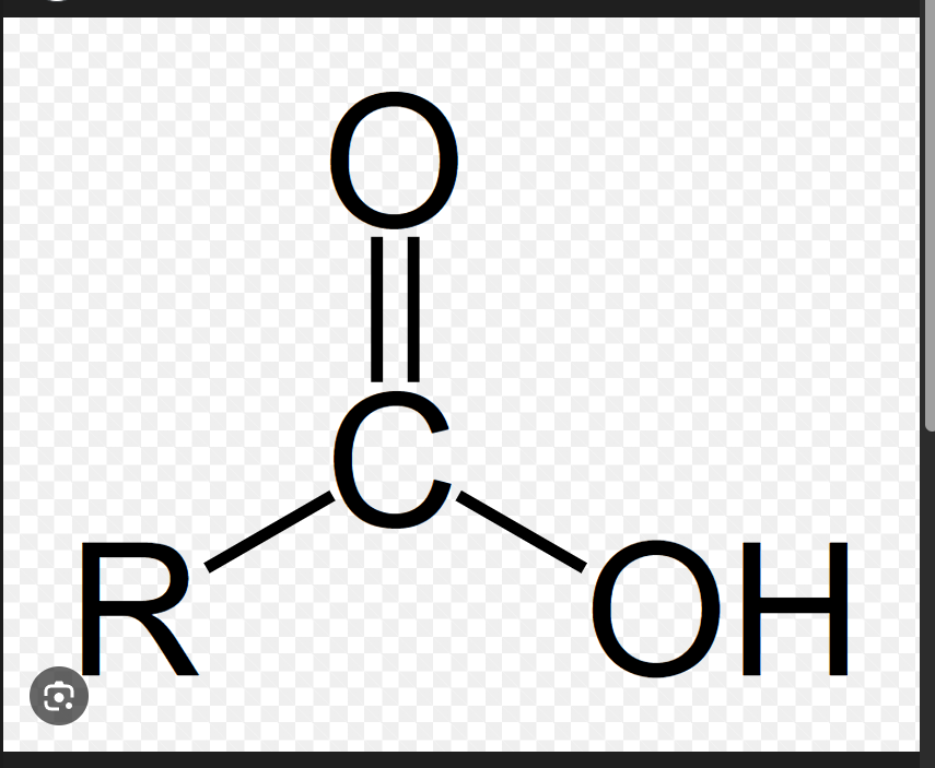 <p>Carboxylic acid General Formula</p>
