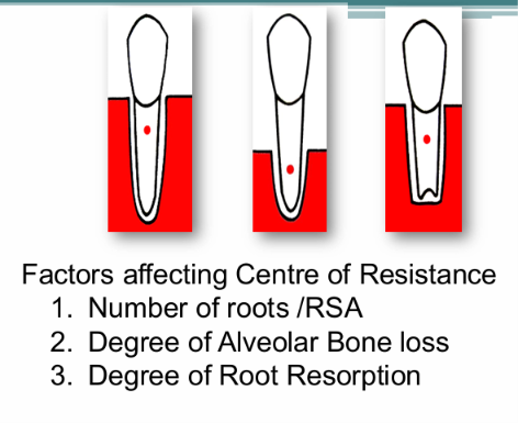 <ul><li><p>Number of roots/root surface area</p></li><li><p>Degree of alveolar bone loss</p></li><li><p>Degree of root resorption </p></li></ul><p></p>