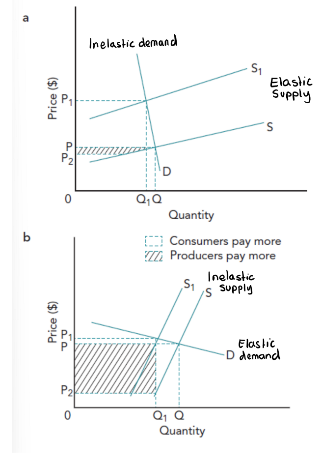 <p>• Inelastic demand → consumers bear more<br />
&nbsp;• Elastic demand → producers bear more</p>
