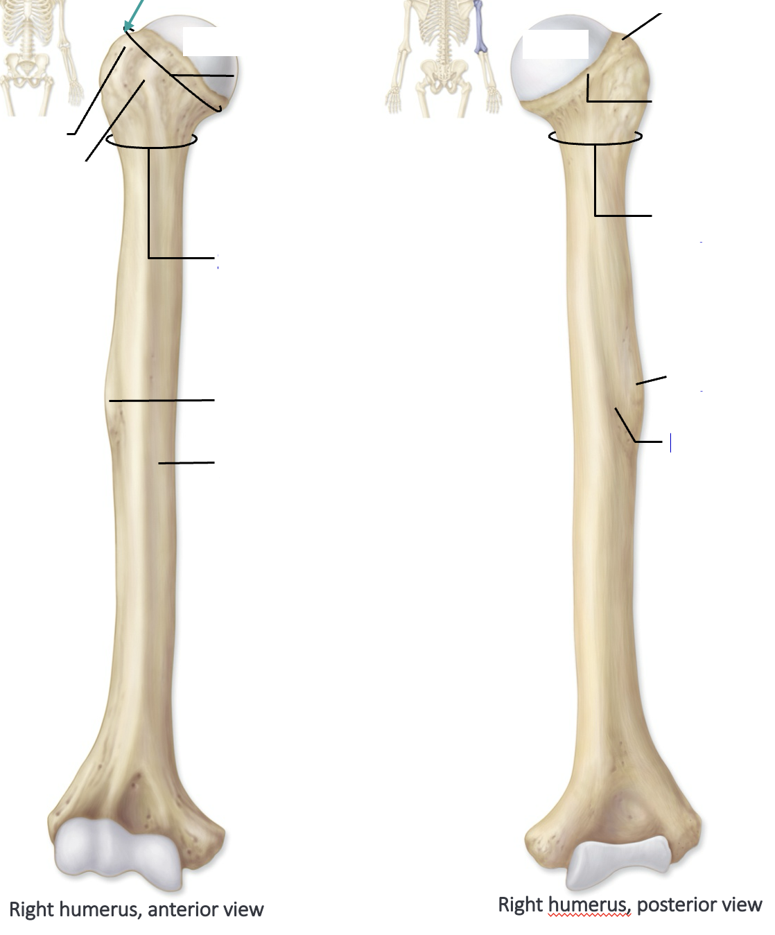 <p></p>