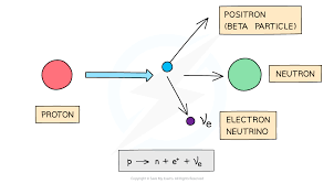 <p>Proton turns into a neutron, emit positron and electron neutrino</p><ul><li><p>Up quark turns into down quark</p></li></ul><p></p>