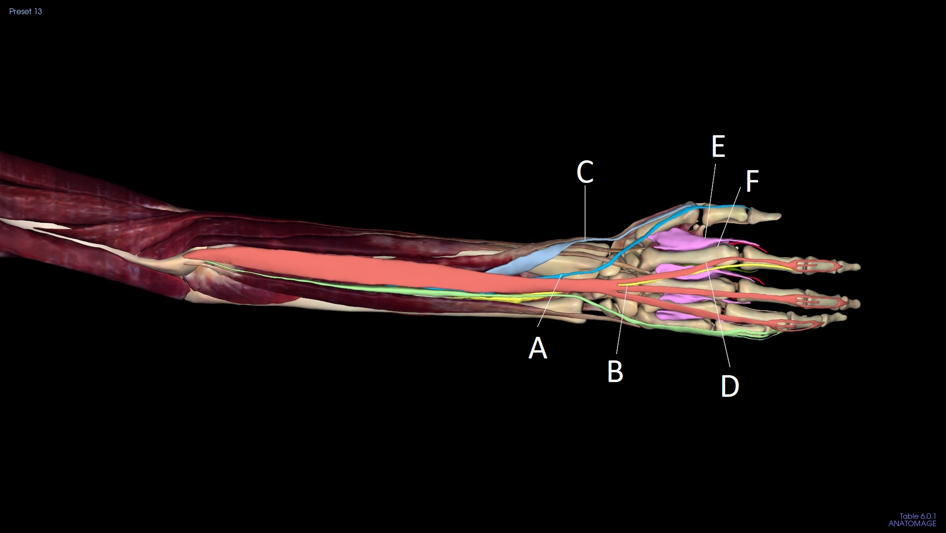 <p>E</p>