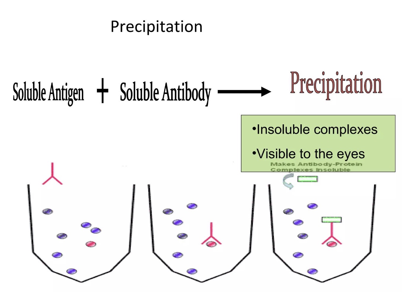 <p><span><strong><span>What is precipitation in immunology?</span></strong></span></p>