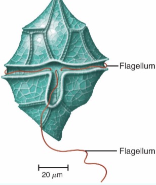 <p>What is this?</p>