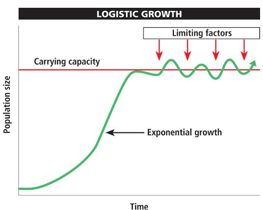 <ul><li><p>The maximum population of a given species that a habitat can sustain indefinitely</p></li><li><p>As the population approaches its carrying capacity, its J-curve becomes an S-curve of fluctuating logistic growth</p></li></ul><p></p>